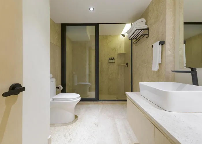 Apartment Hom Sb Capitalia Palacio Polanco 1br