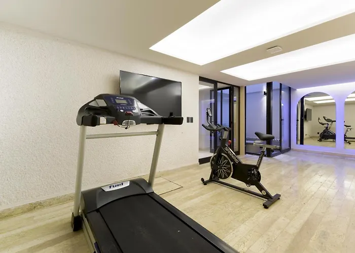 Hom Sb Capitalia Palacio Polanco 1br Mexico City